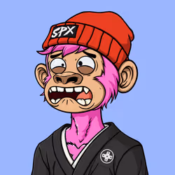 6137