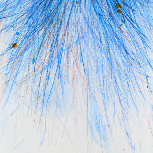 Every way is the right way