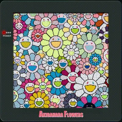 Akibahara Flowers Seed