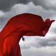RED - senjnK0Tnv