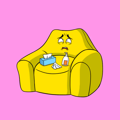Couch #427