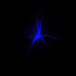 STRING #02696