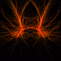 STRING #02959