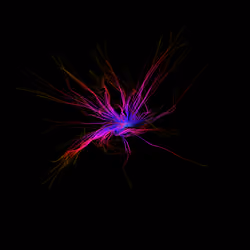 STRING #03395