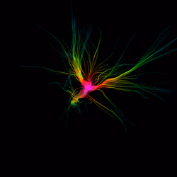 SKYWALKER