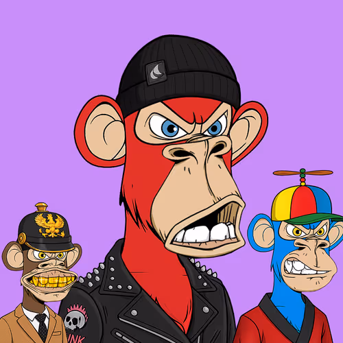 Apes B Dimension Club