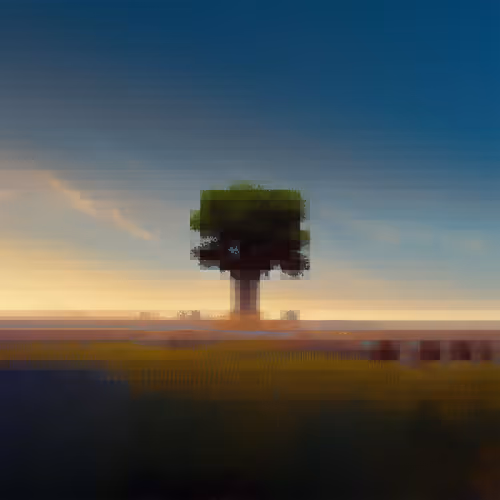 Root Directory