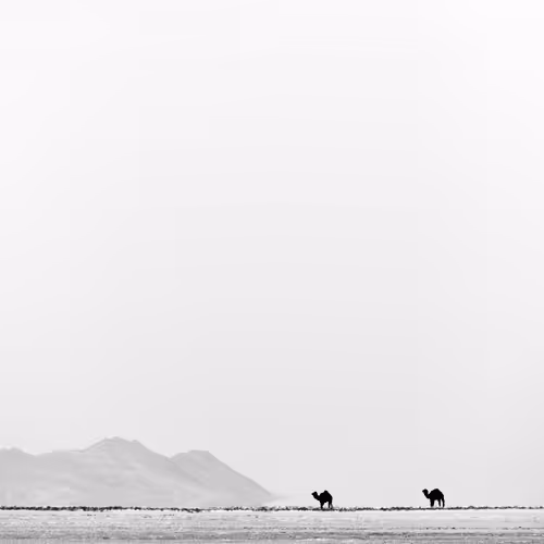 Editions By Moeen Eth