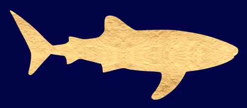 WhaleShark Gold Icon