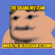 253