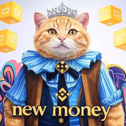 New Meta Money #9
