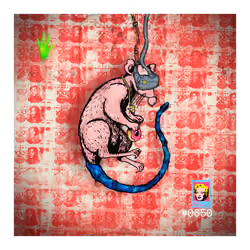 ratDAO #0650