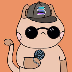 Serious Cat #64