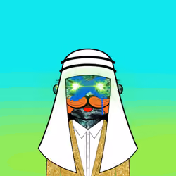 Mr Crypto #5211