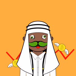 Mr Crypto #855