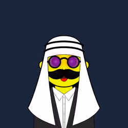 Mr Crypto #325