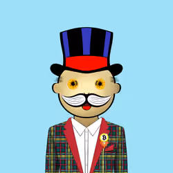 Mr Crypto #8007