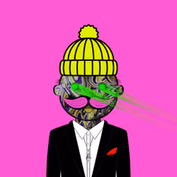 Mr Crypto #933