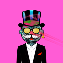 Mr Crypto #303