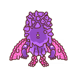 Cum Laude Buddy Poprocks