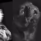 11200020004