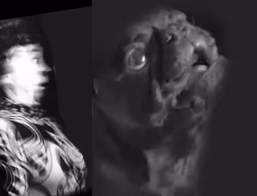 Item #11200020036 Media