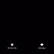 11200030044