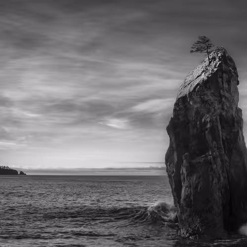 Beautiful Things That Are Gone