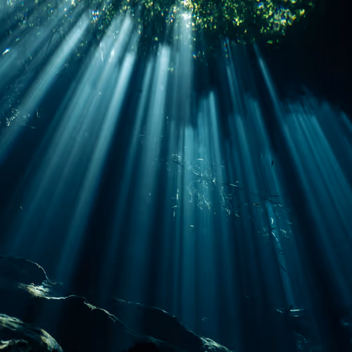 Nadine Bauer Editions