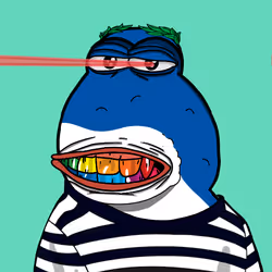 6050