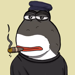 5593