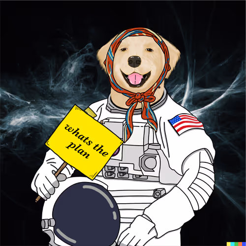 Sudonaut #606