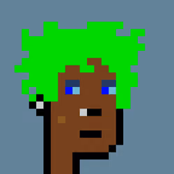 RockerPunk #6831