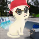 719