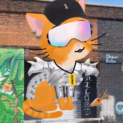 Meowlady #161