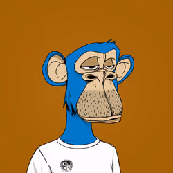 AES Ape #271