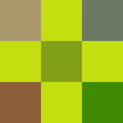 481