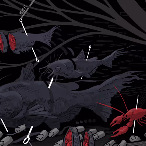 Bayou Tapestry