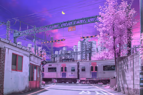 Item #25500020050 Media