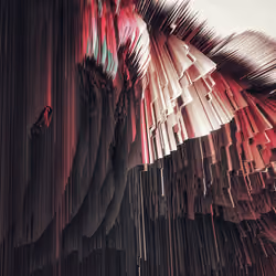 florae_abstracta xxxix