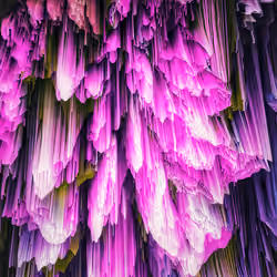 florae_abstracta xii