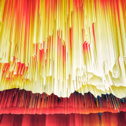 florae_abstracta xlii