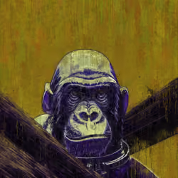 Deep Space Ape Mission #173