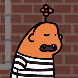231
