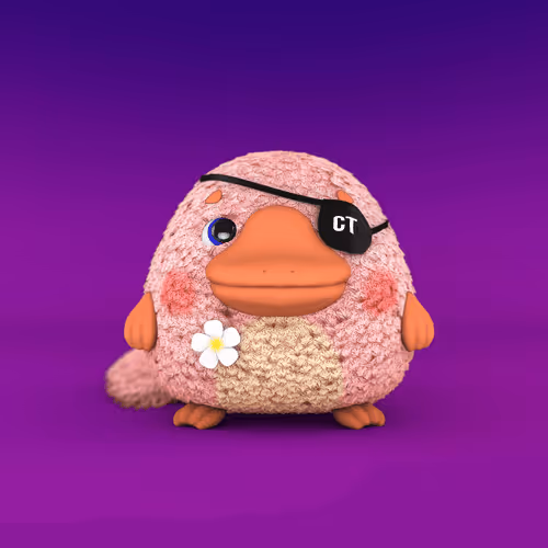 Tokenpuss