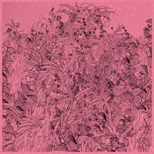 50