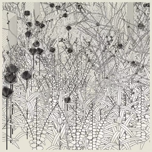 35