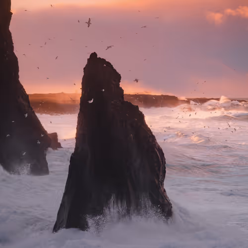góðan daginn