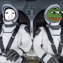 wojak pepe space x capsule