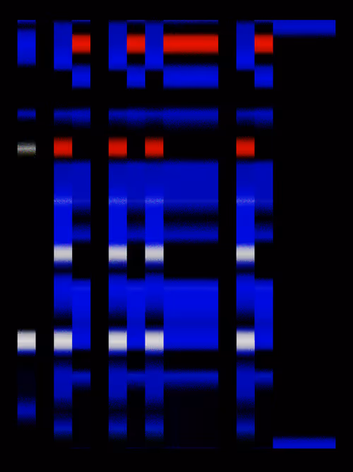 Item #1525305302 Media